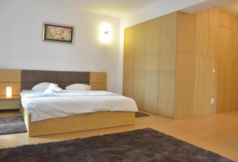 استودیو استاندارد با تخت کینگ, Decebal Residence Apartments