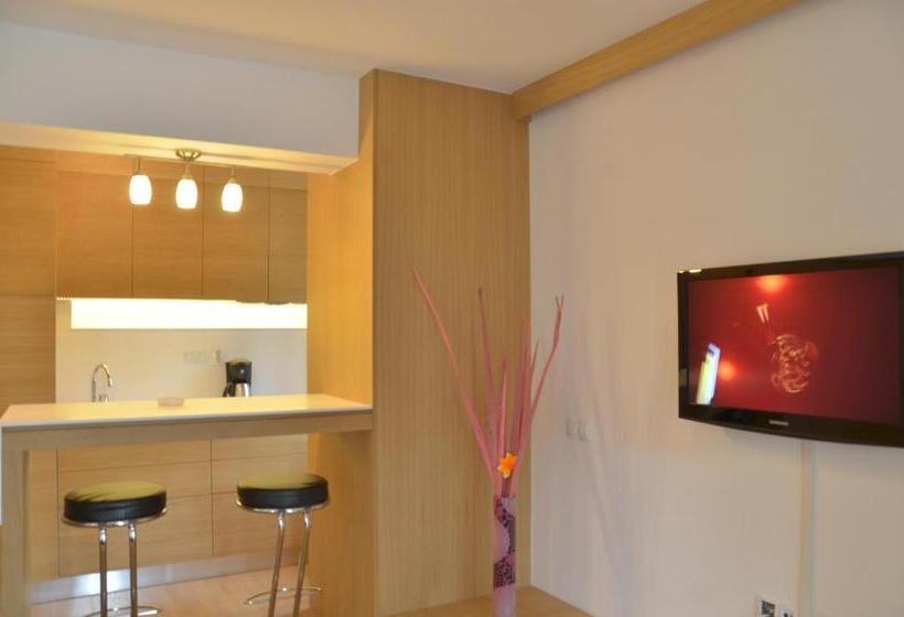 استودیو استاندارد با تخت کینگ, Decebal Residence Apartments