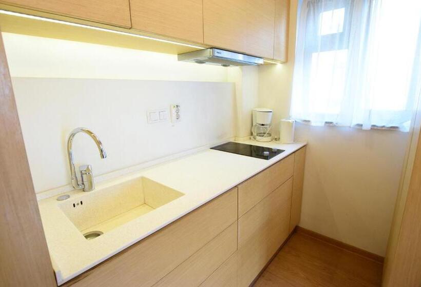 استودیو استاندارد با تخت کینگ, Decebal Residence Apartments