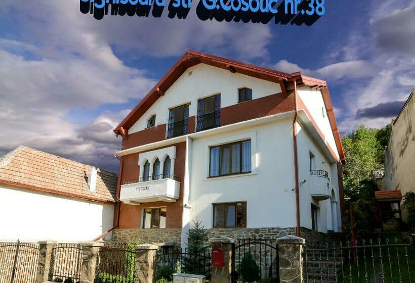 اتاق استاندارد با چشم‌انداز شهر, Cosbuc Residence & Villa