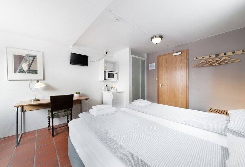Номер Стандарт, Eric The Red Guesthouse