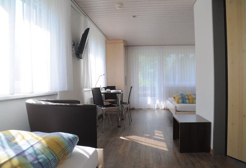 Номер Стандарт Трехместный, Ferien  Und Familienhotel Alpina Adelboden
