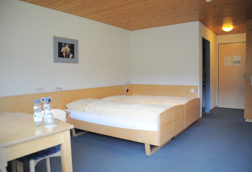 Номер Стандарт с Балконом, Ferien  Und Familienhotel Alpina Adelboden