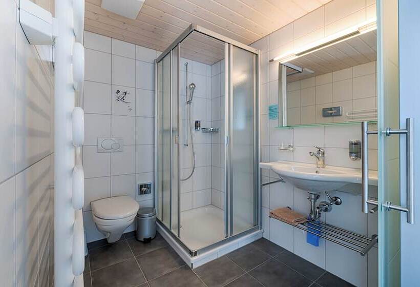 Номер Стандарт Индивидуальный с Балконом, Ferien  Und Familienhotel Alpina Adelboden
