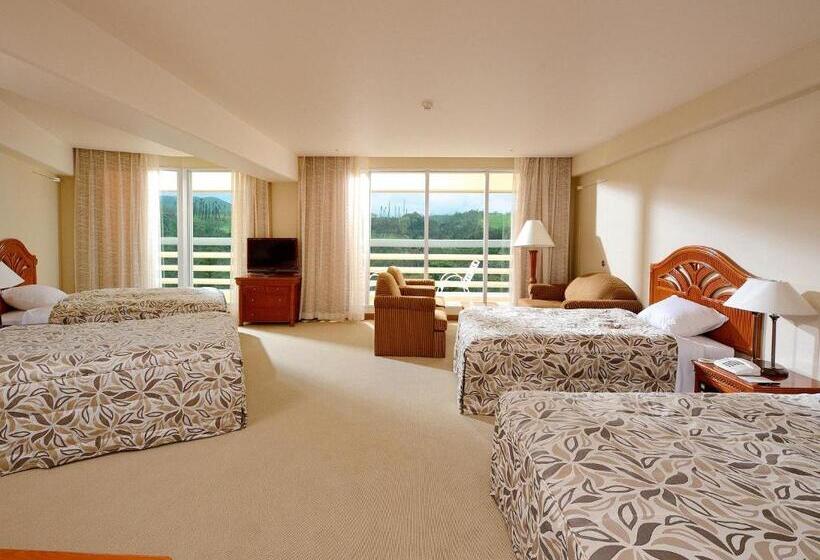 اتاق استاندارد با چشم‌انداز باغ, Rizzan Sea Park Hotel Tancha Bay
