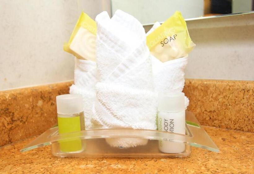 اتاق استاندارد, Holiday Inn Leon, An Ihg