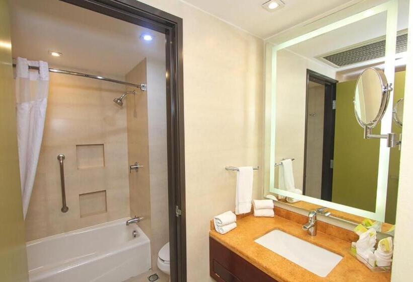اتاق استاندارد, Holiday Inn Leon, An Ihg