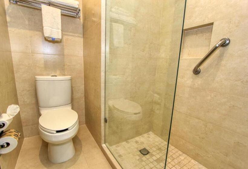 اتاق استاندارد با تخت بزرگ, Holiday Inn Leon, An Ihg