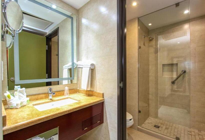 اتاق استاندارد با تخت بزرگ, Holiday Inn Leon, An Ihg