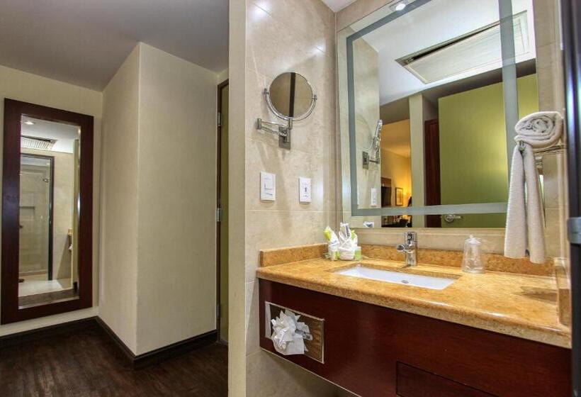 اتاق استاندارد با تخت بزرگ, Holiday Inn Leon, An Ihg