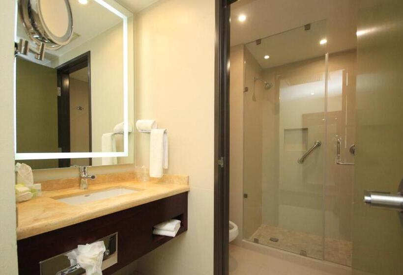 اتاق استاندارد با تخت بزرگ, Holiday Inn Leon, An Ihg