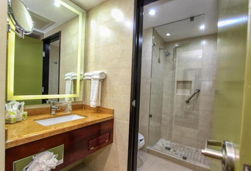 اتاق استاندارد با 2 تخت دوبل, Holiday Inn Leon, An Ihg