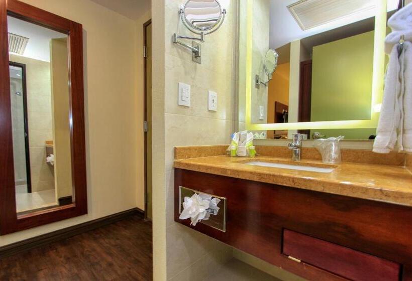 اتاق استاندارد با 2 تخت دوبل, Holiday Inn Leon, An Ihg