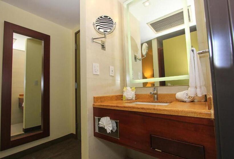 اتاق استاندارد برای معلولان, Holiday Inn Leon, An Ihg