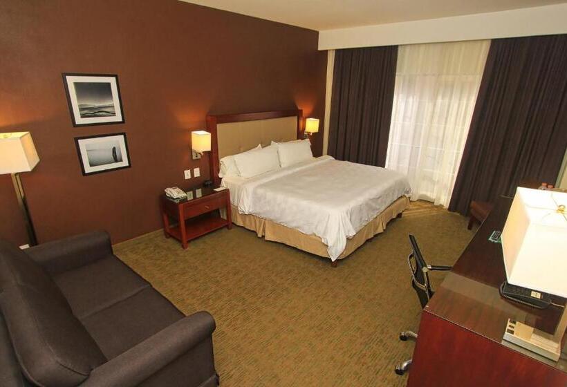 اتاق استاندارد برای معلولان, Holiday Inn Leon, An Ihg