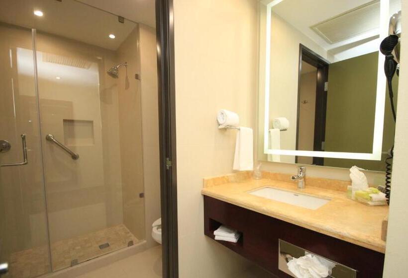 اتاق استاندارد برای معلولان, Holiday Inn Leon, An Ihg