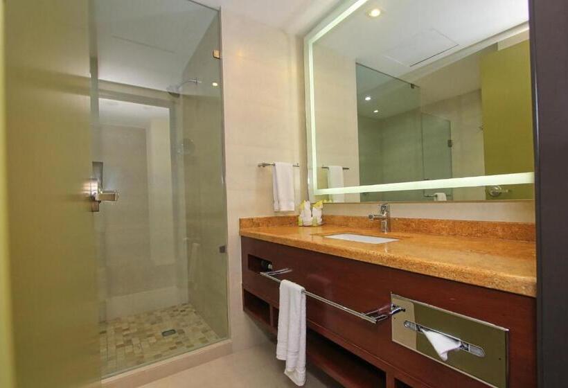 سوئیت با تخت بزرگ, Holiday Inn Leon, An Ihg