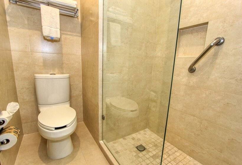 اتاق استاندارد, Holiday Inn Leon, An Ihg