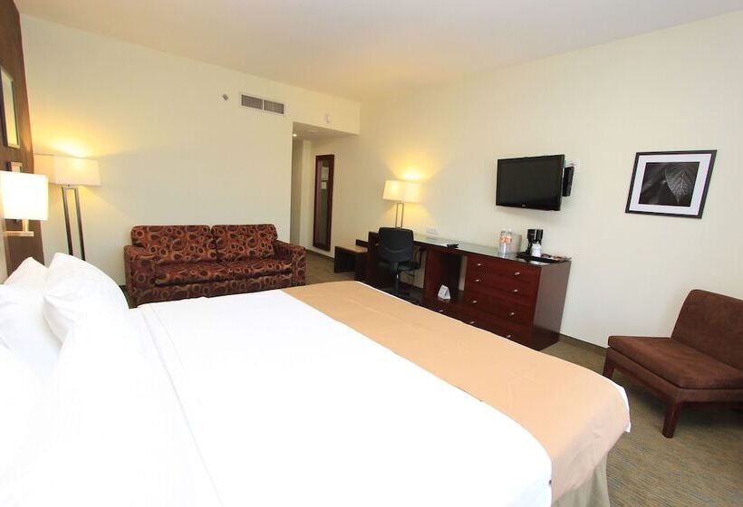 اتاق استاندارد, Holiday Inn Leon, An Ihg