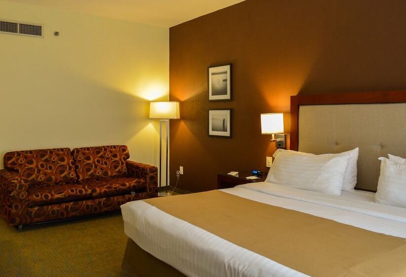 اتاق استاندارد, Holiday Inn Leon, An Ihg