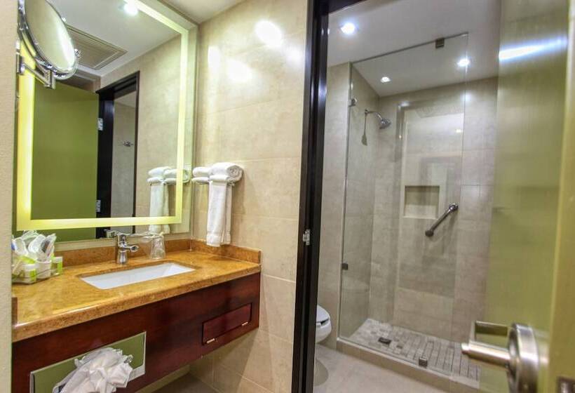 اتاق استاندارد با 2 تخت دوبل, Holiday Inn Leon, An Ihg