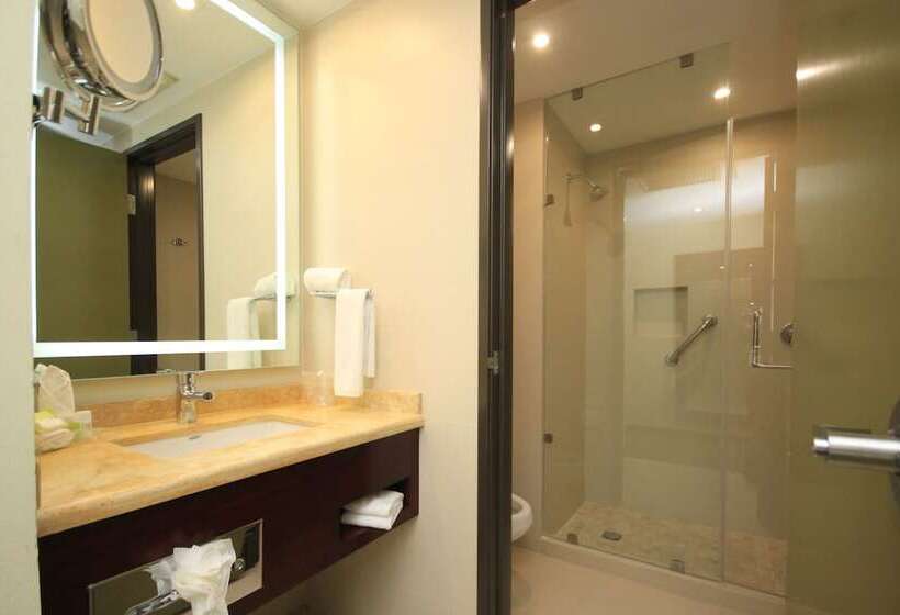 اتاق استاندارد با 2 تخت دوبل, Holiday Inn Leon, An Ihg
