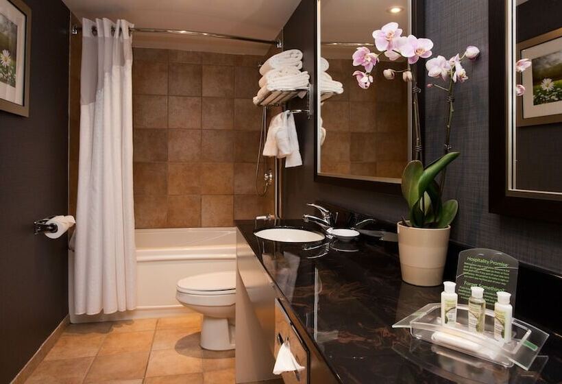 סוויטה, Holiday Inn & Suites Mississauga West   Meadowvale, An Ihg