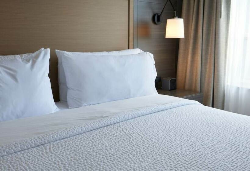 高级客房, Holiday Inn & Suites Ottawa Kanata, An Ihg