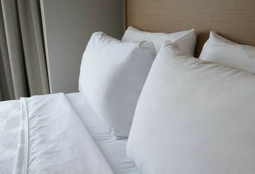 标准间, Holiday Inn & Suites Ottawa Kanata, An Ihg
