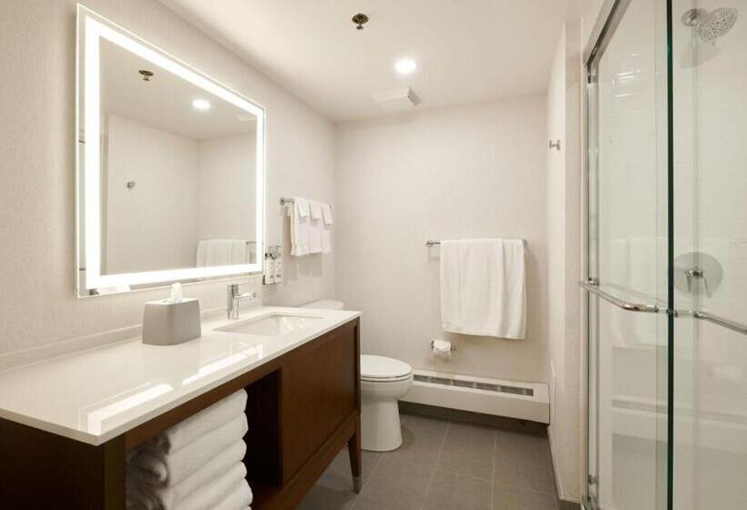 带大床的套房, Holiday Inn & Suites Ottawa Kanata, An Ihg