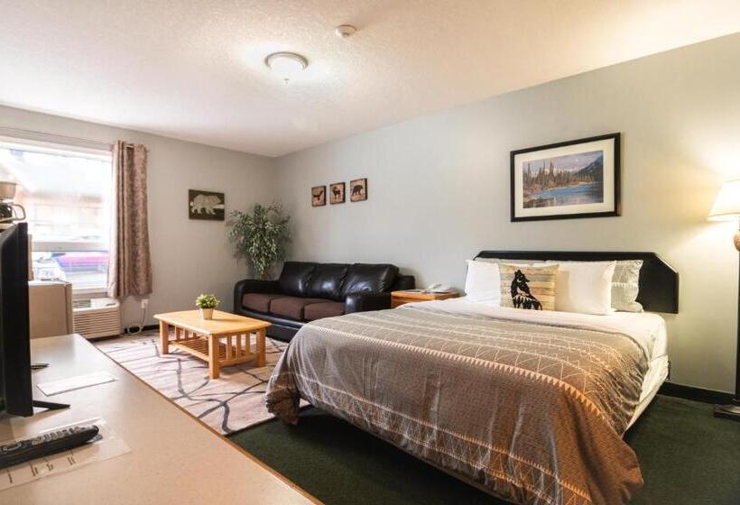スタンダードスタジオ, Mountain View Inn