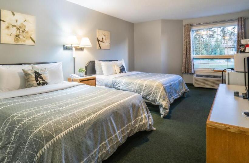 デラックスルーム, Mountain View Inn