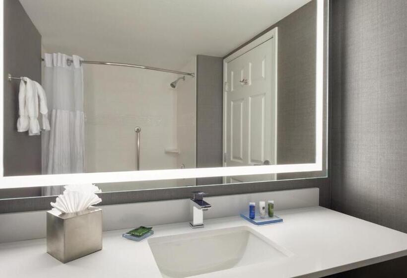 디럭스 스위트 킹 침대, Radisson Hotel Dallas North Addison
