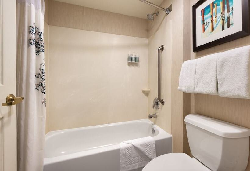 Люкс, Residence Inn Salt Lake City Cottonwood