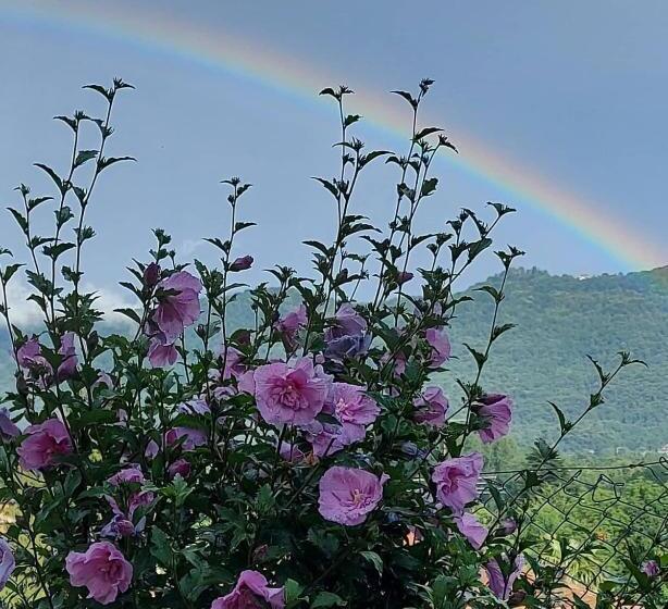 اتاق استاندارد, Casa Arcobaleno