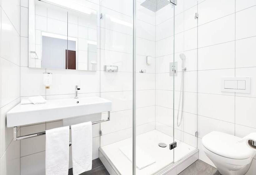 Номер Стандарт, Central City Hotel Rochat