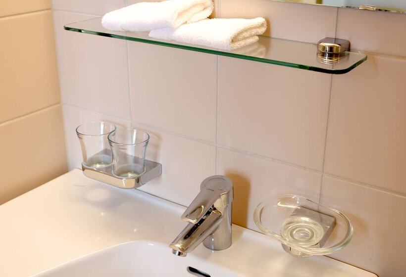 Номер Стандарт Трехместный, Central City Hotel Rochat