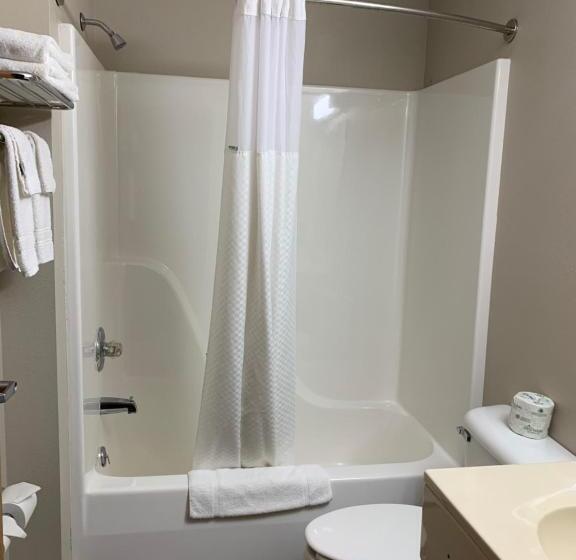 Номер Стандарт Адаптированный для Инвалидов, Microtel Inn & Suites By Wyndham Fond Du Lac