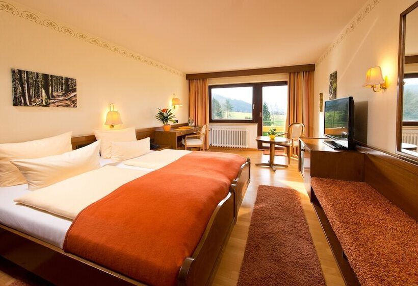컴포트 싱글 룸, Silberkönig Schwarzwald Hotel & Restaurant Ring