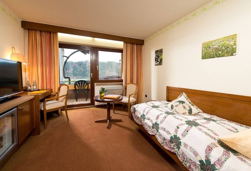エコノミーシングルルーム, Silberkönig Schwarzwald Hotel & Restaurant Ring