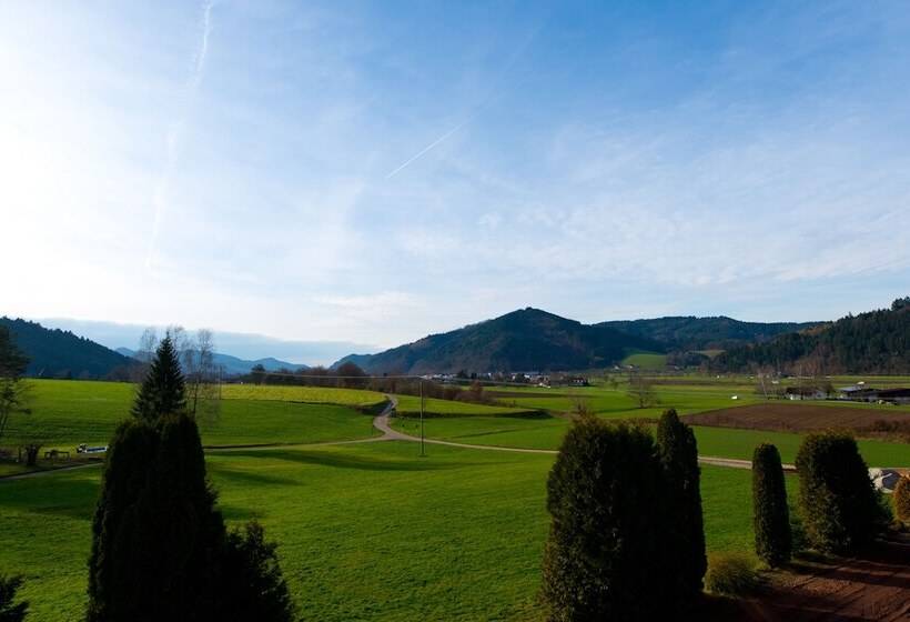 수피리어 싱글 룸, Silberkönig Schwarzwald Hotel & Restaurant Ring