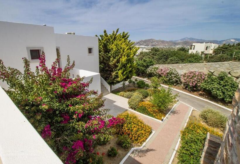4인용 스탠다드 룸, Naxos Palace