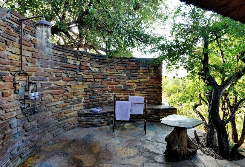 Апартаменты Deluxe 1 Спальня, Motswiri Private Safari Lodge