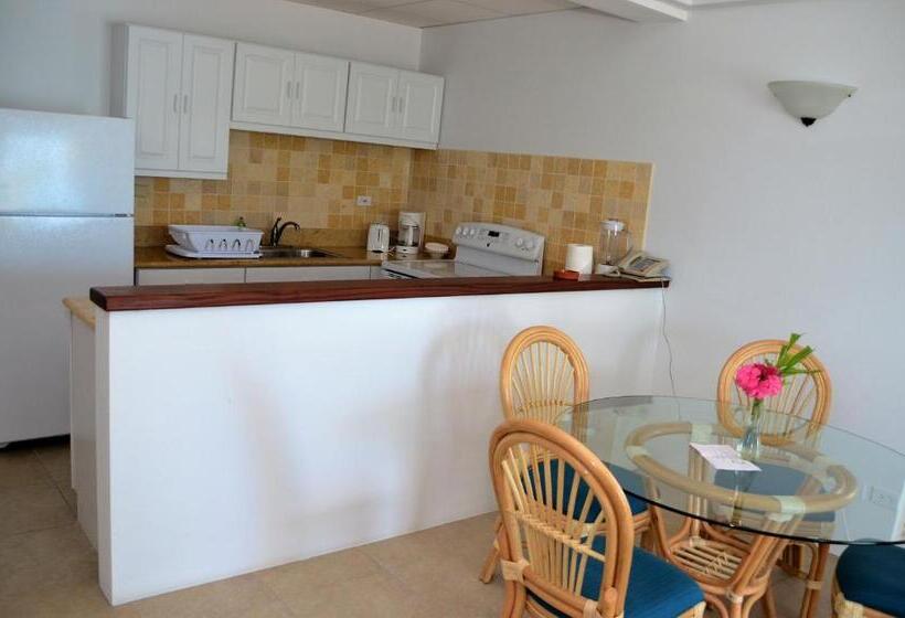 1 Bedroom Deluxe Apartment Sea View, Shoal Bay Villas