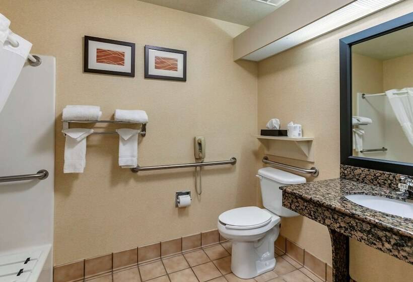 Люкс Адаптированный для Инвалидов, Comfort Inn Fort Collins North