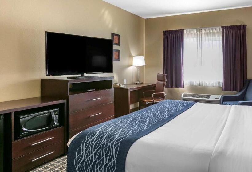 Номер Стандарт Вид на Горы, Comfort Inn Fort Collins North