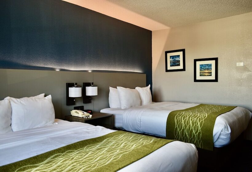 스탠다드 룸 더블 침대 2개, Comfort Inn & Suites Cartersville   Emerson Lake Point