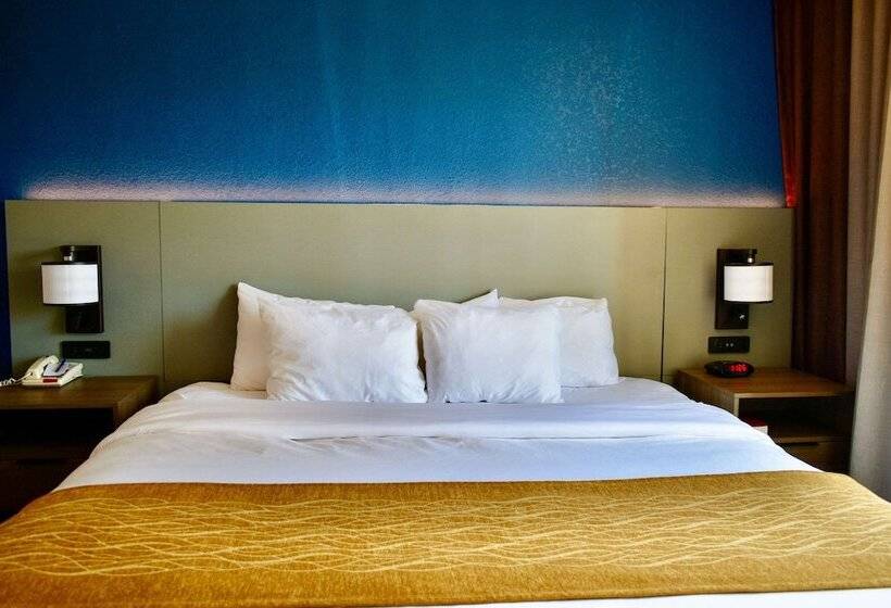 장애인을 위한 스위트, Comfort Inn & Suites Cartersville   Emerson Lake Point