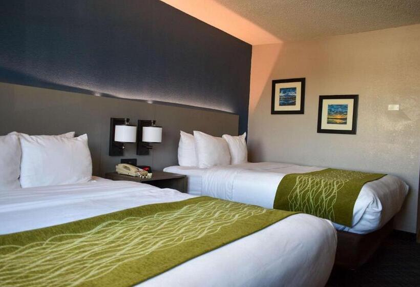 스위트, Comfort Inn & Suites Cartersville   Emerson Lake Point