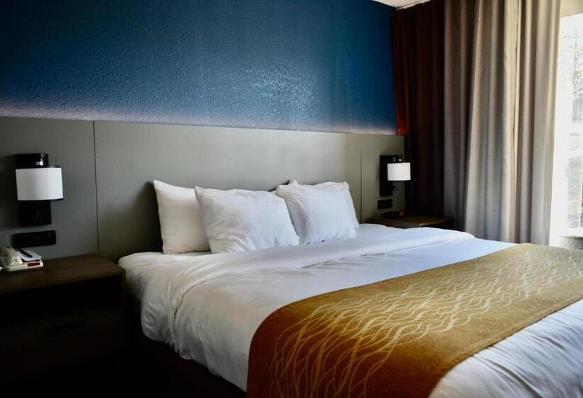 장애인을 위한 킹사이즈 침대 스탠다드 룸, Comfort Inn & Suites Cartersville   Emerson Lake Point
